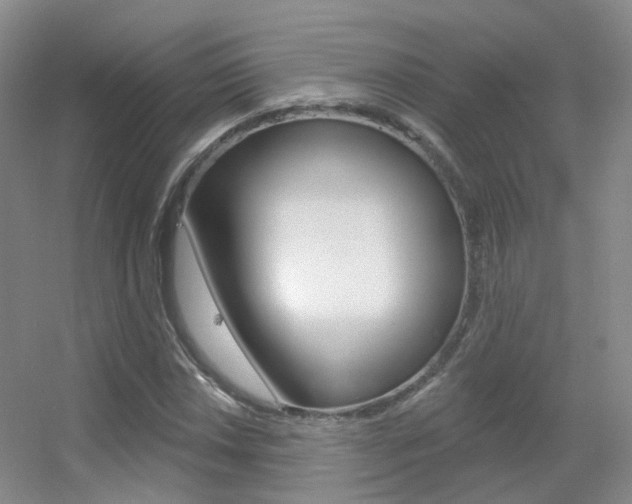X0000055521018200508120816