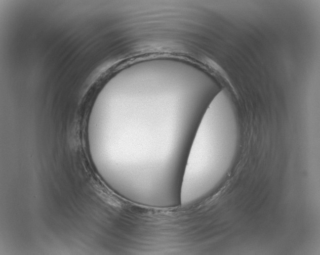 X0000055521019200508120816