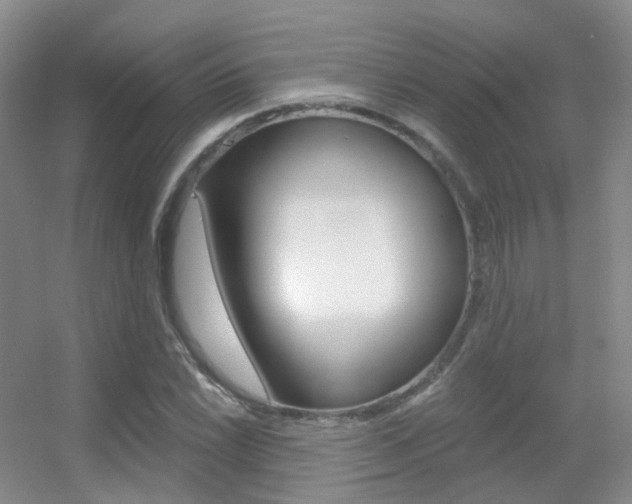 X0000055521022200508120816