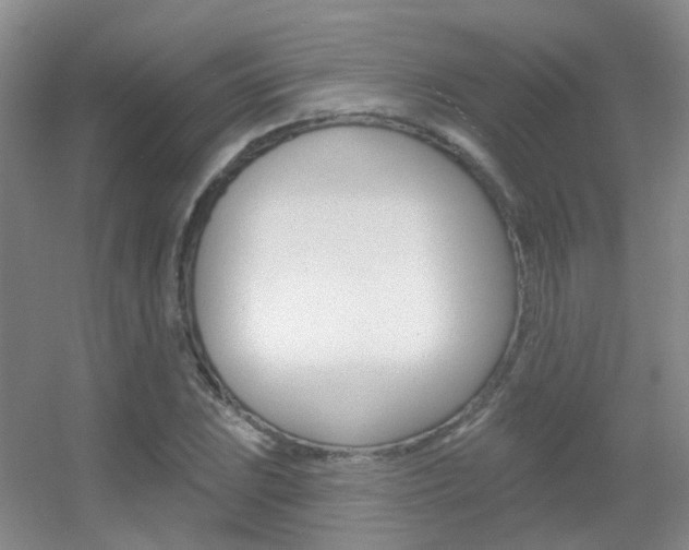 X0000055521023200508120816
