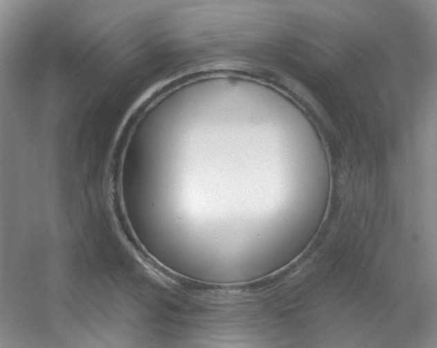 X0000055521024200508120816