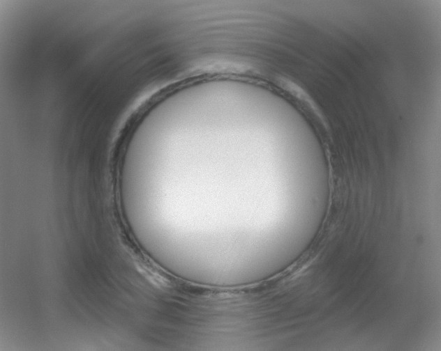 X0000055521027200508120816