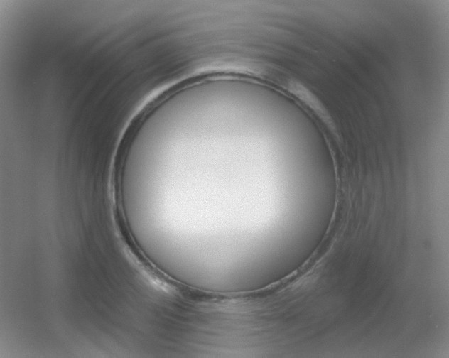 X0000055521028200508120816