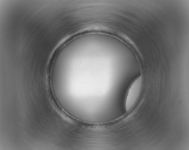 X0000055521029200508120816