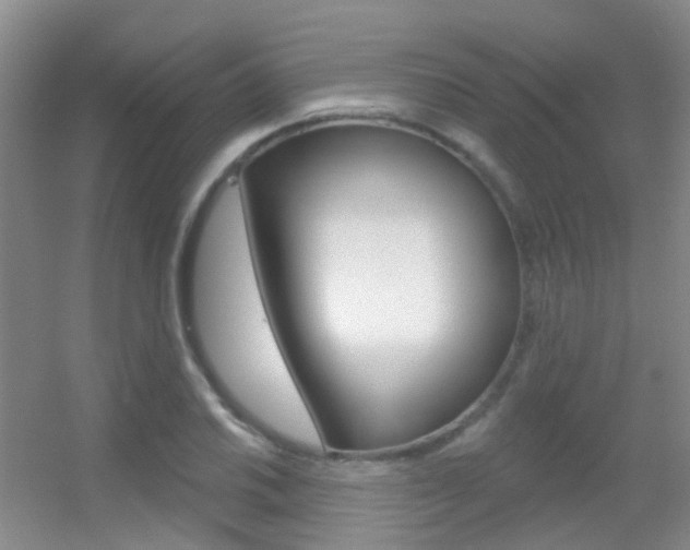 X0000055521030200508120816