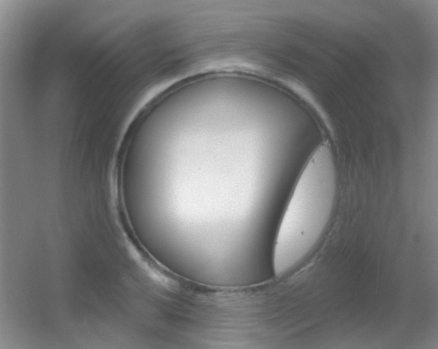X0000055521032200508120816