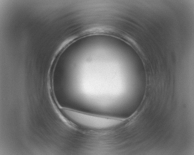 X0000055521034200508120816
