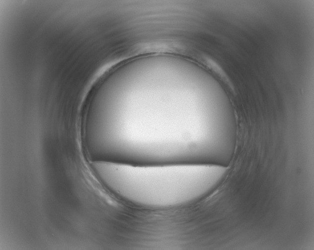 X0000055521035200508120816