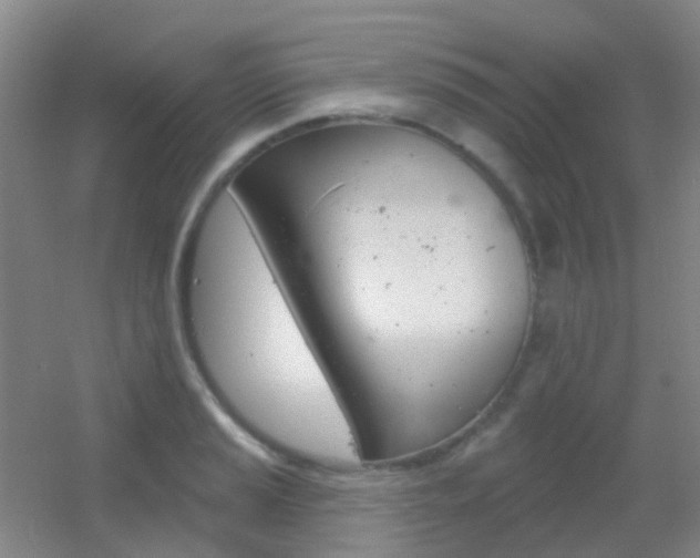 X0000055521037200508120816
