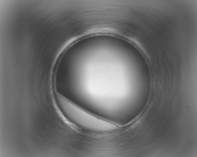 X0000055521038200508120816