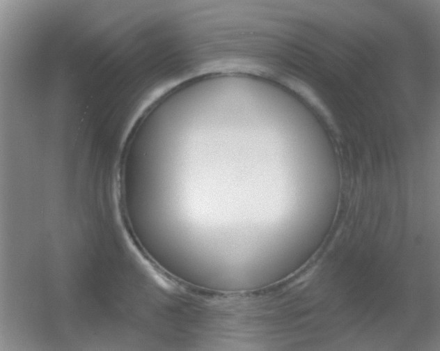 X0000055521040200508120816