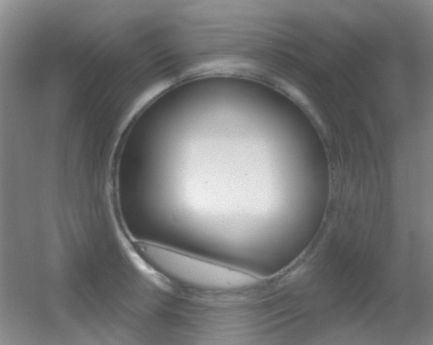 X0000055521042200508120816