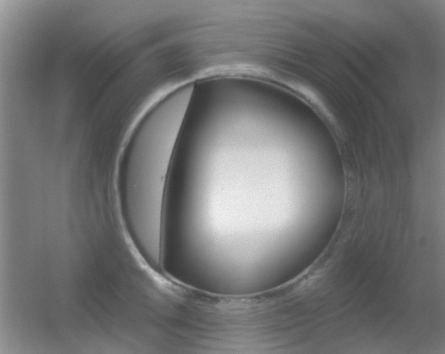X0000055521046200508120816