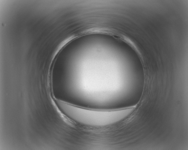 X0000055521050200508120817