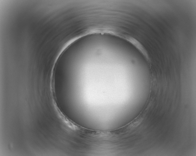 X0000055521052200508120817