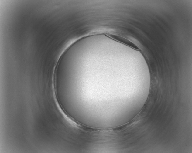 X0000055521055200508120817