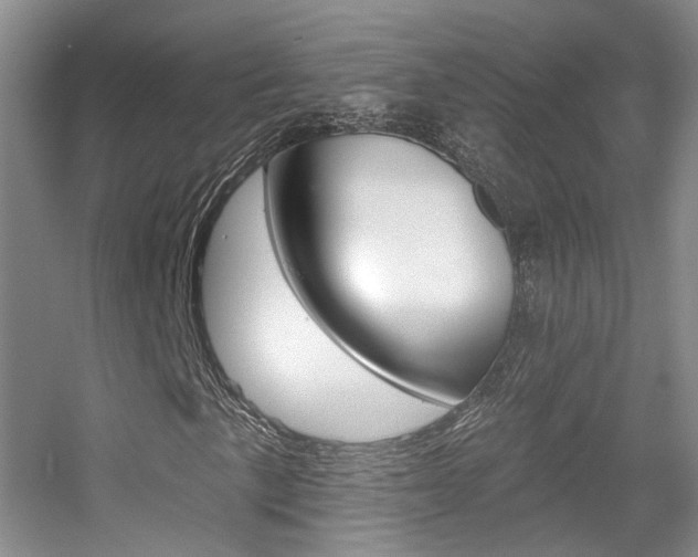 X0000055521057200508120816