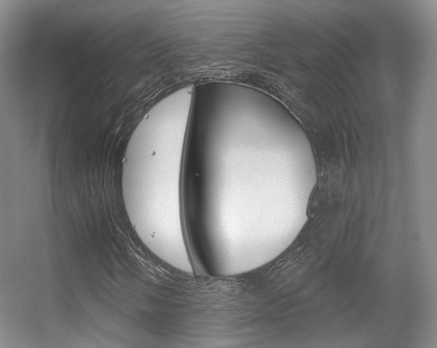X0000055521058200508120816