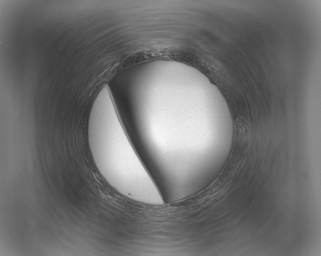 X0000055521060200508120816