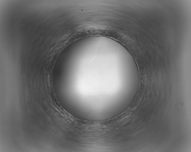 X0000055521061200508120816