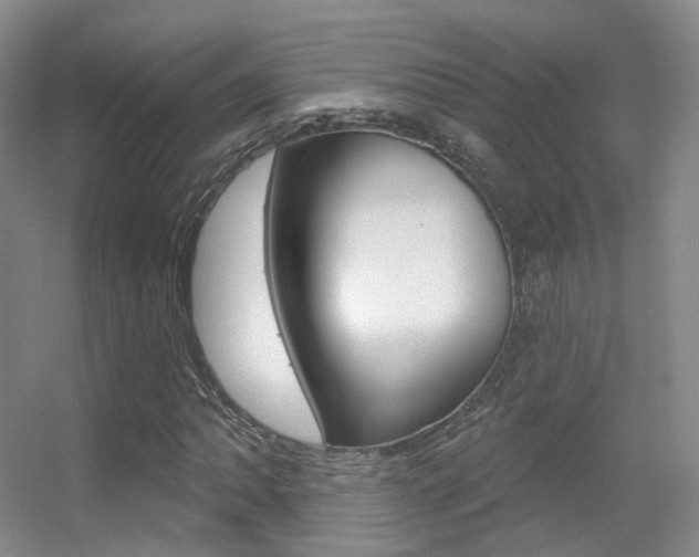 X0000055521062200508120816