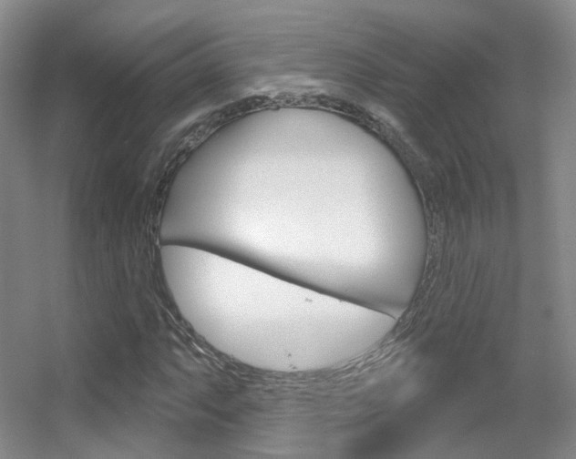 X0000055521063200508120816
