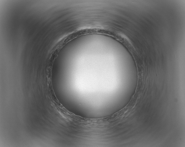 X0000055521064200508120816