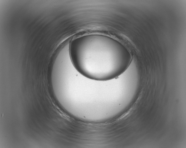 X0000055521065200508120816