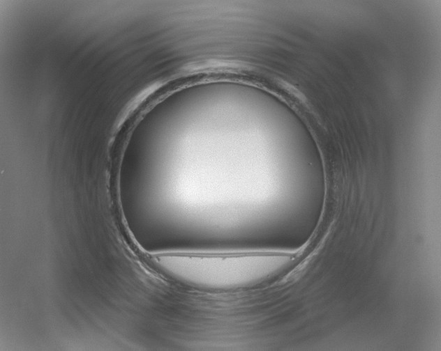 X0000055521066200508120816