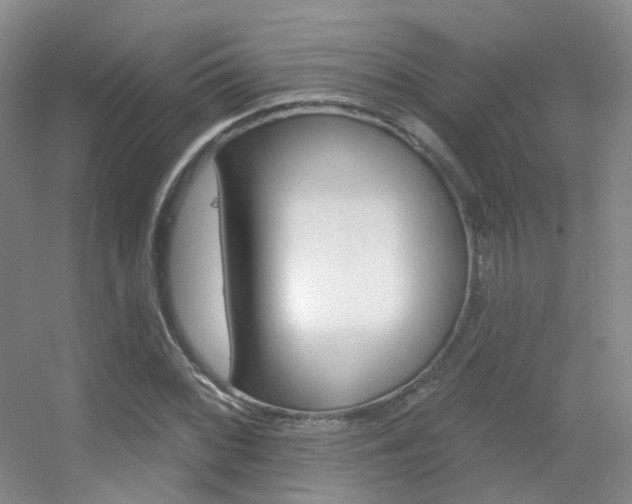 X0000055521068200508120816