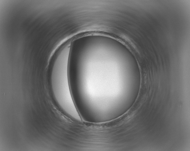 X0000055521069200508120816
