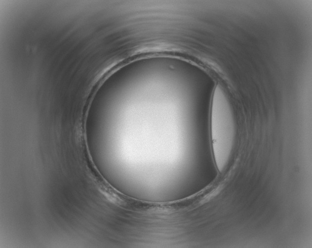 X0000055521073200508120816