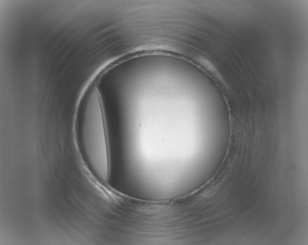 X0000055521076200508120816