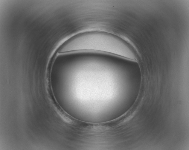 X0000055521077200508120815