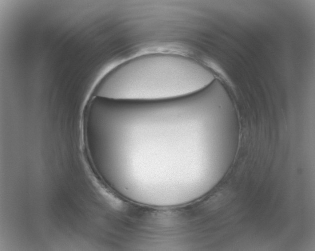 X0000055521079200508120815