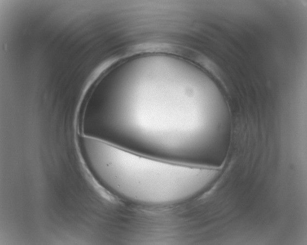 X0000055521082200508120815