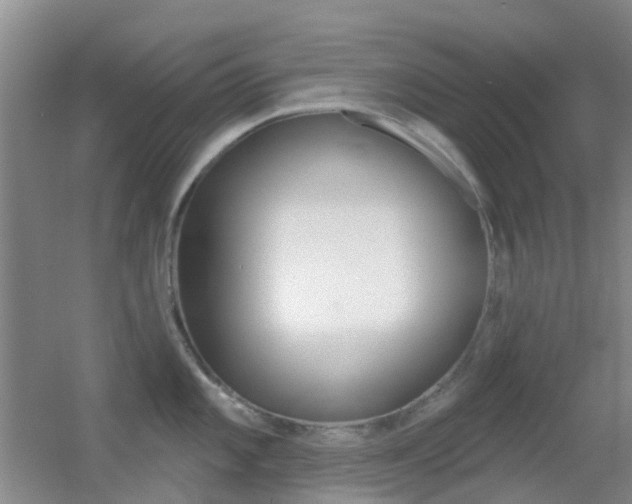 X0000055521101200508120815