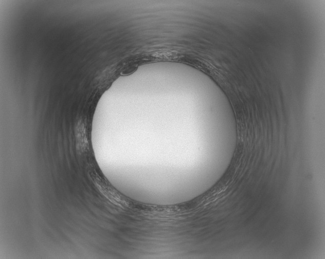 X0000055521106200508120814