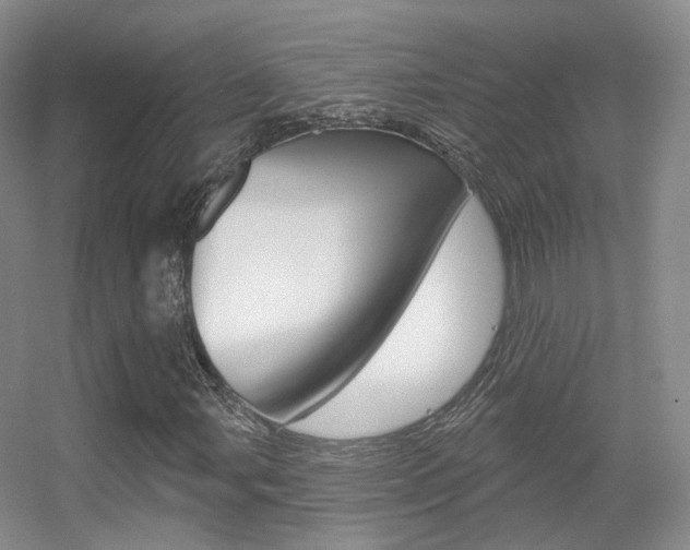 X0000055521107200508120814