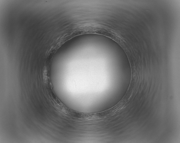 X0000055521108200508120814