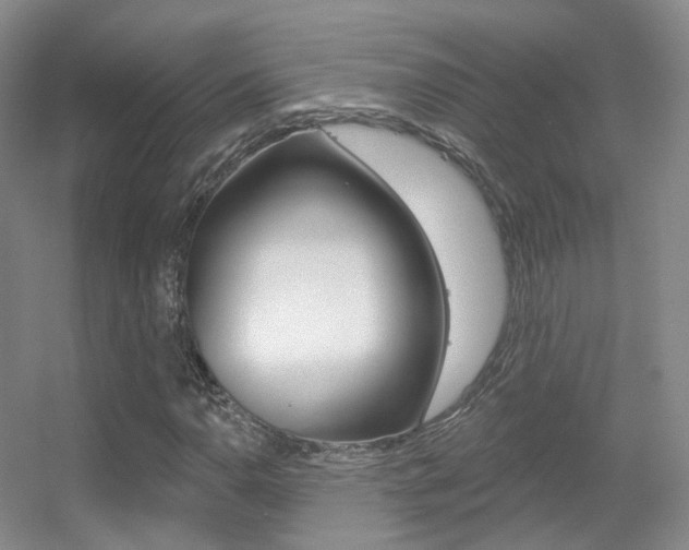 X0000055521110200508120814