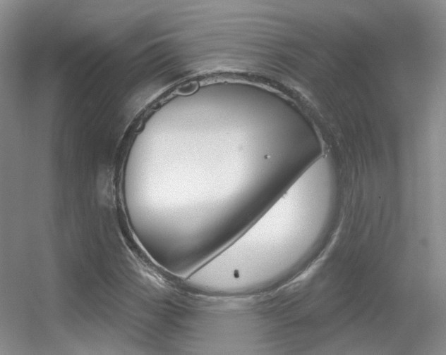 X0000055521113200508120814