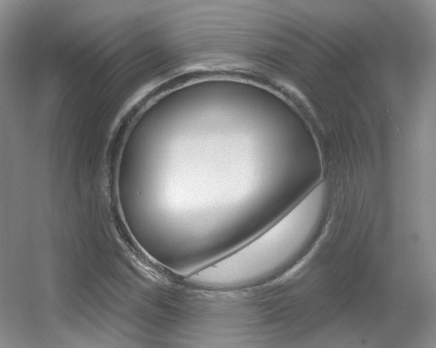 X0000055521114200508120814