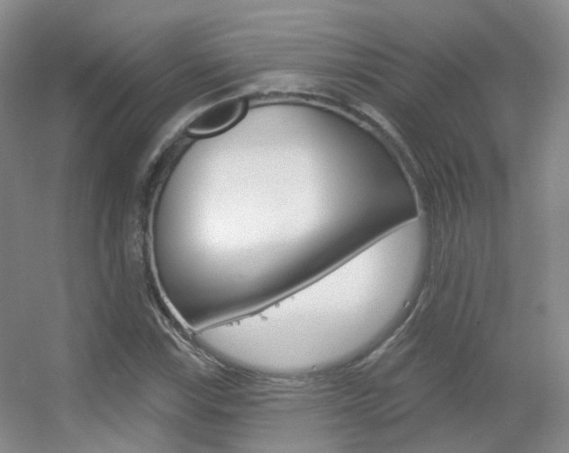 X0000055521115200508120814