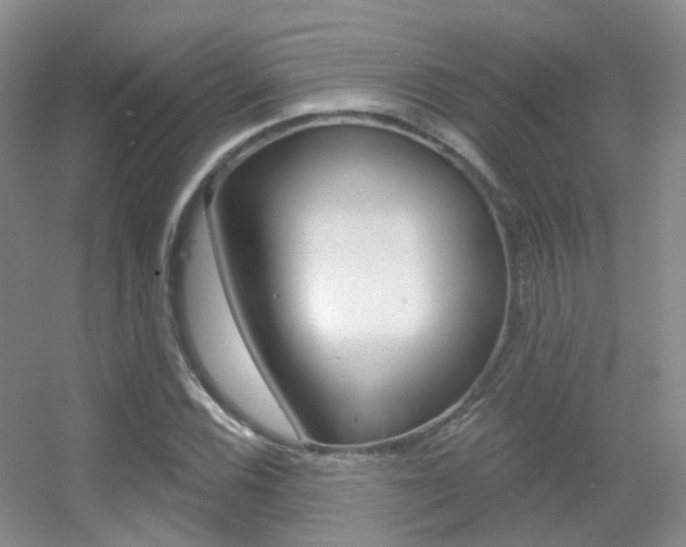 X0000055521116200508120814