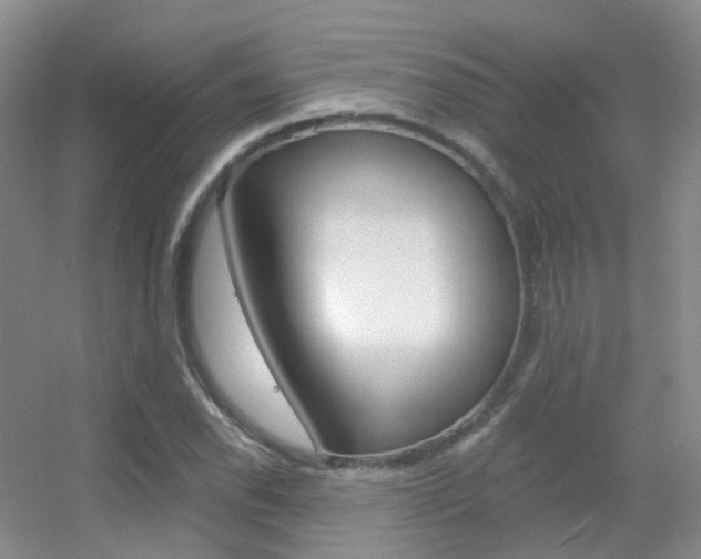 X0000055521118200508120814