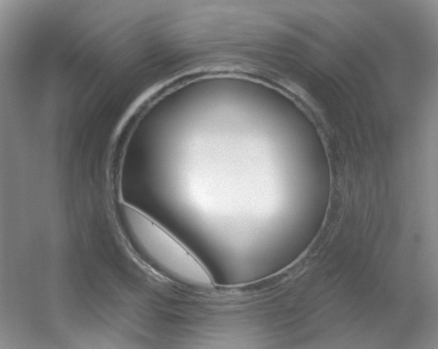 X0000055521120200508120814