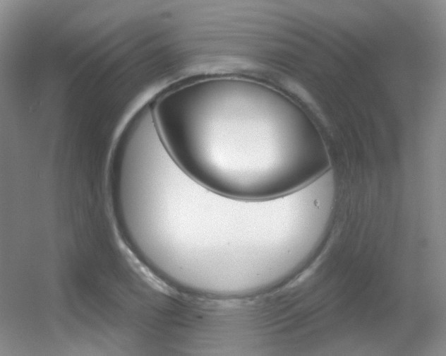 X0000055521122200508120814