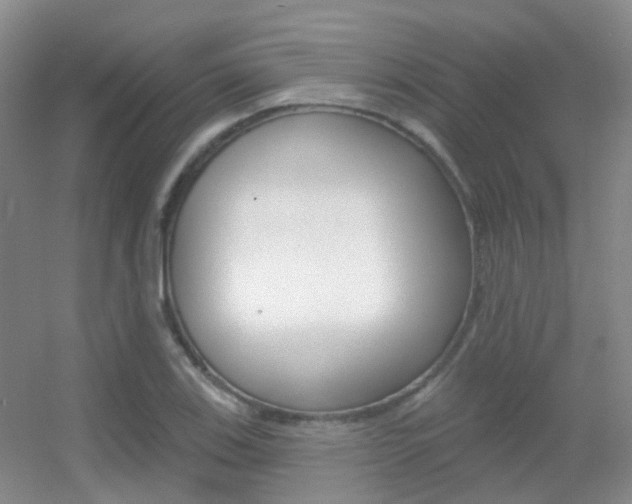 X0000055521123200508120815