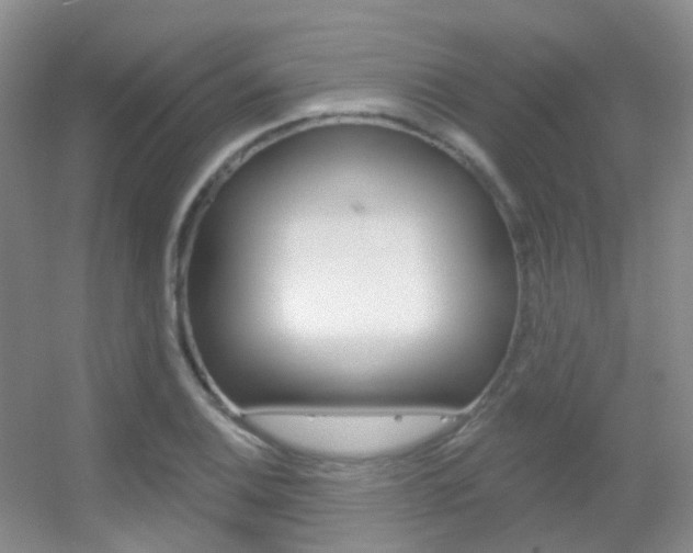 X0000055521124200508120815
